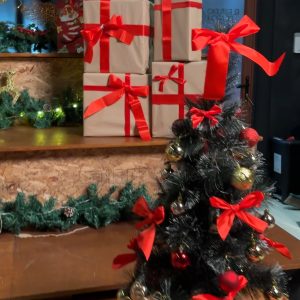 Reserva Fotográfica Navidad